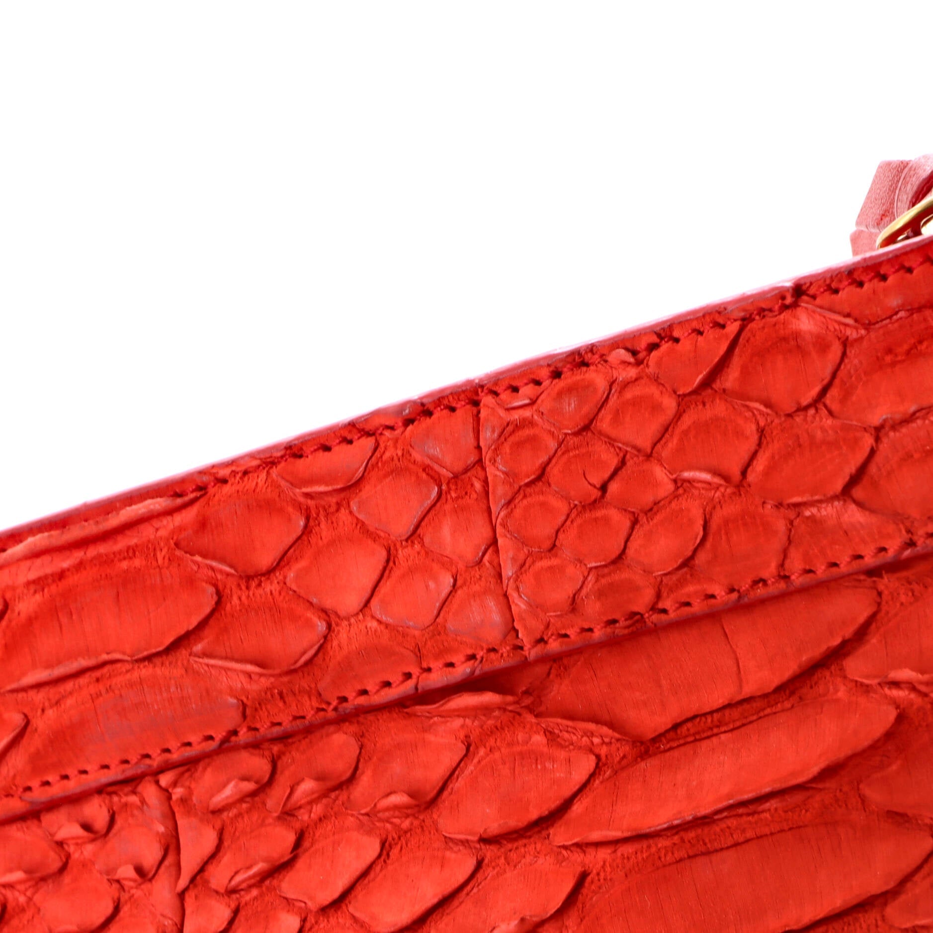 Y Zip Clutch Python