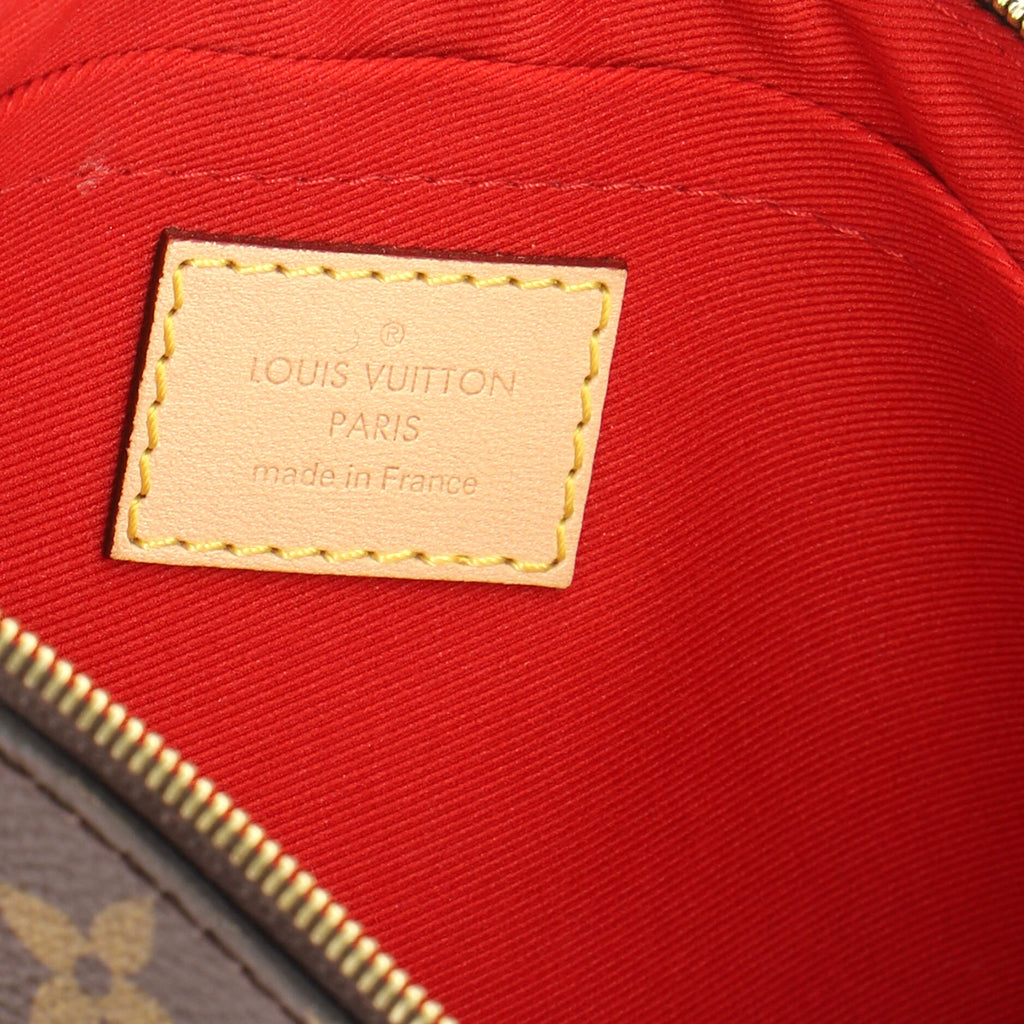 Neverfull Pochette Monogram Canvas Large