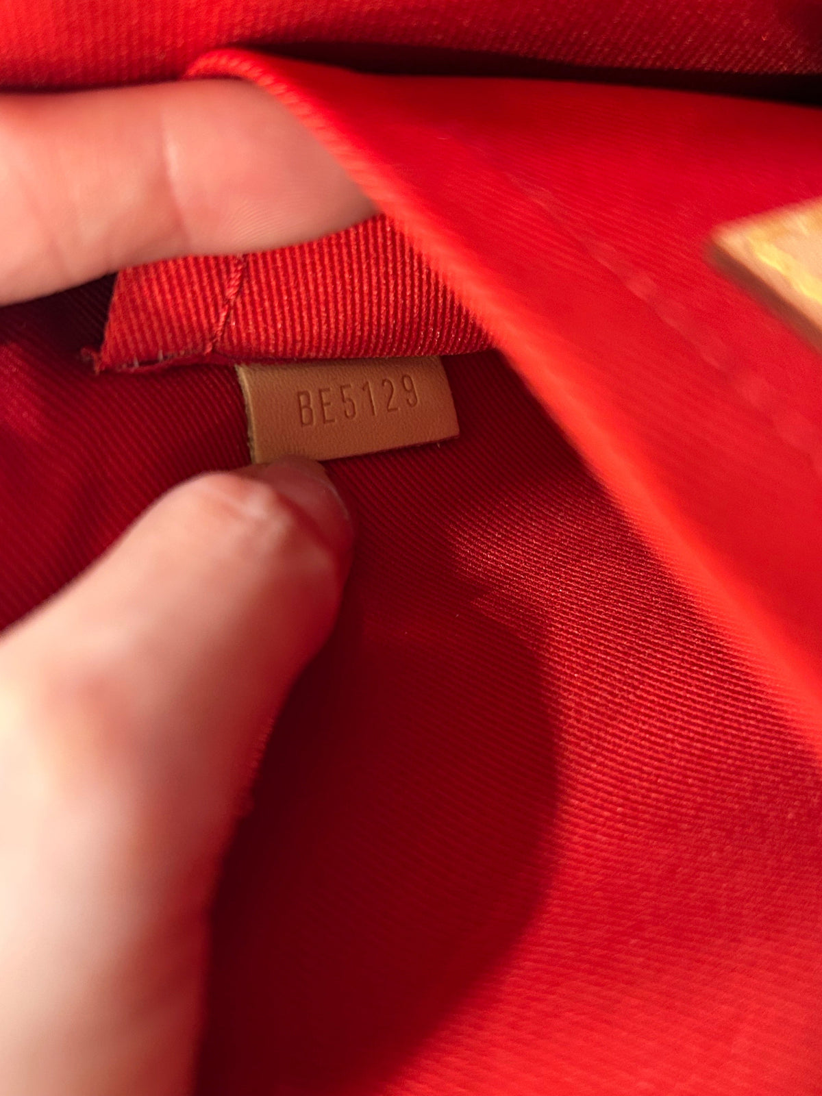 Neverfull Pochette Monogram Canvas Large