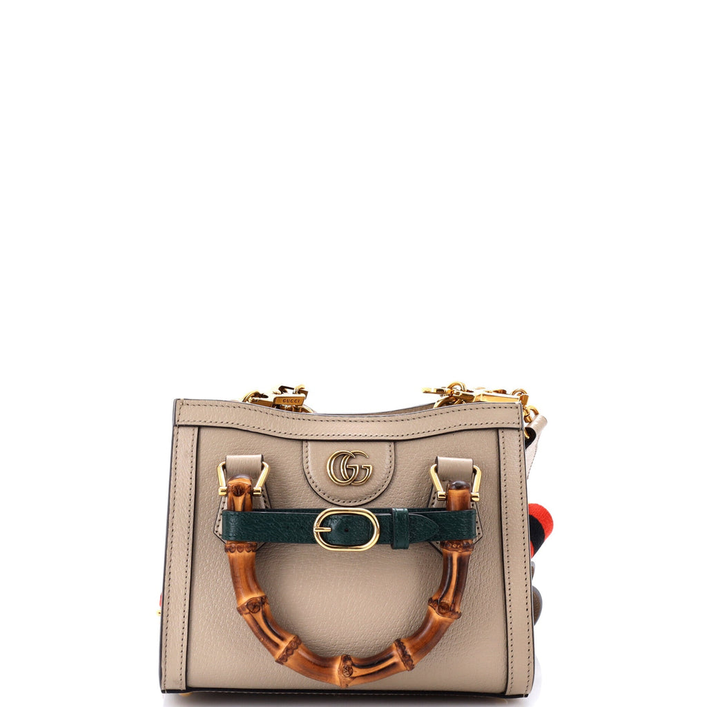 Diana NM Bamboo Handle Tote Leather Mini