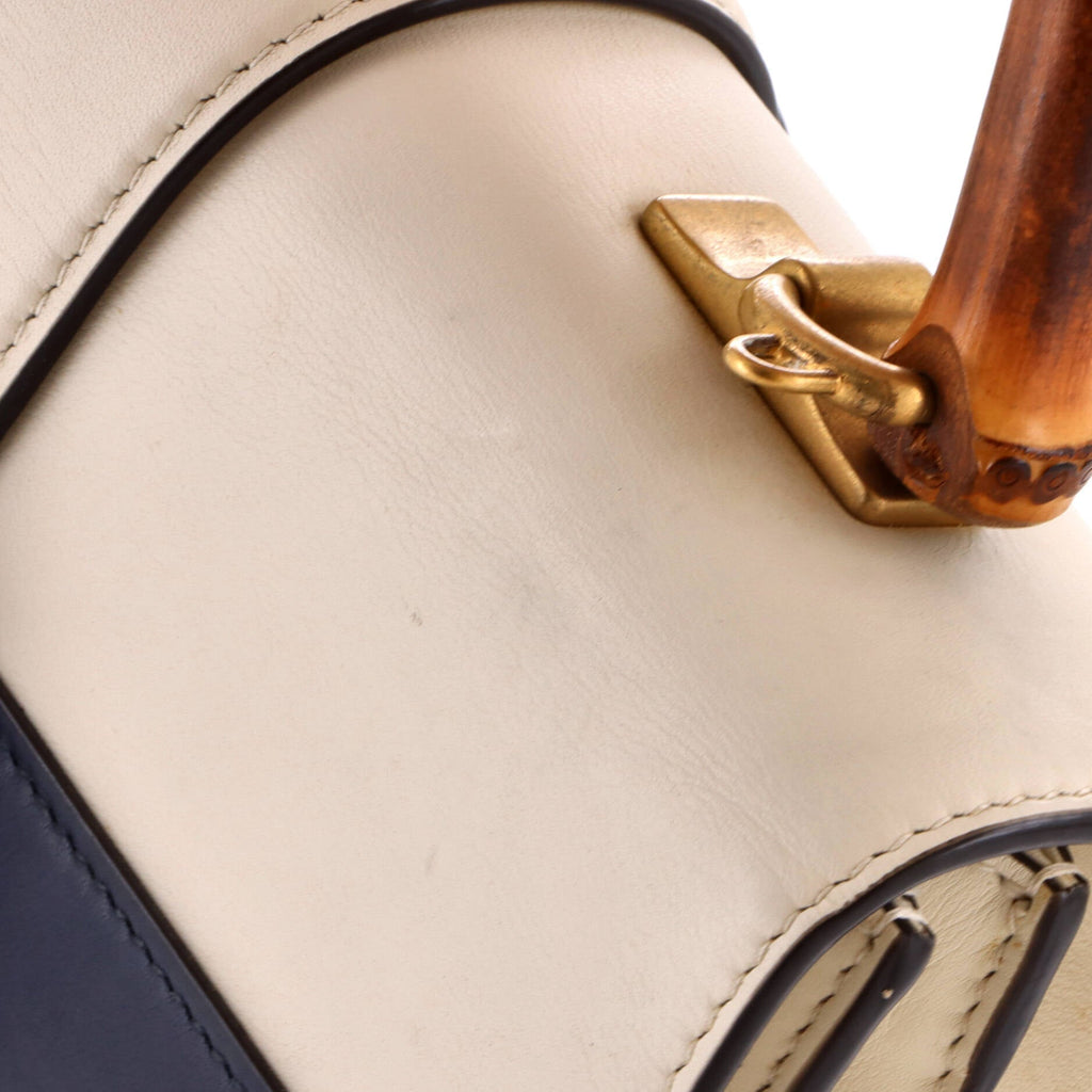 Dionysus Bamboo Top Handle Bag Colorblock Leather Medium