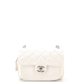 Express Zip Around CC Flap Bag Quilted Calfskin Small