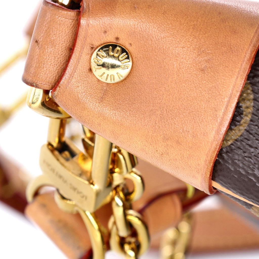 Loop Handbag Monogram Canvas