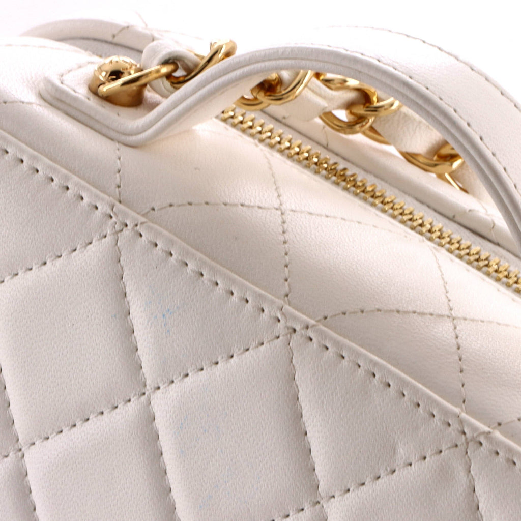 Golden Plate Vanity Case Quilted Metal and Lambskin Medium