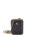 Vertical Classic Vanity Case with Chain Quilted Caviar Small